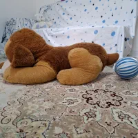 تعدادی عروسک بزرگ و کوچک (سگ و خرس)