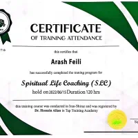 مشاور  و برگزار کننده کارگاه درمانی کوچینگ