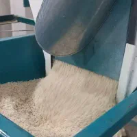 برنج هاشمی دره رود