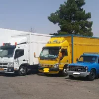 اسباب کشی دیر مجال