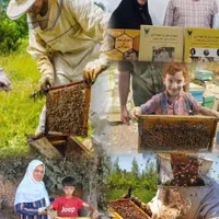 لوازم زنبورداری|عمده‌فروشی|تهران, دریان‌نو|دیوار