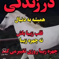 وانت بار  در داخل شهر سراوان