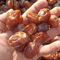 خاصوی|خوردنی و آشامیدنی|بندرعباس, |دیوار