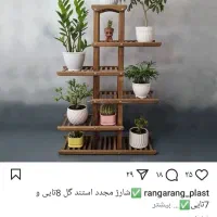 استند گل|گل و گیاه طبیعی|دهدشت, |دیوار