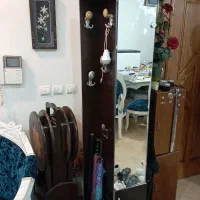 جاکفشی ایستاده