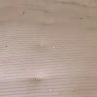 خوشخواب / تشک تخت خواب / دو نفره
