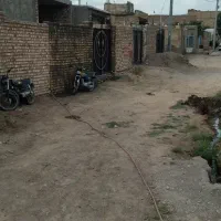 ادهم چهار کاریزنوی 2/2