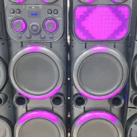 اسپیکر دوقلو