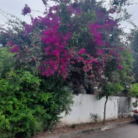 فروش زمین درشهرستان خور شهرجدید هشتگرد