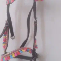 کلگی دست جلو اسب|اسب و تجهیزات اسبسواری|اردکان, |دیوار