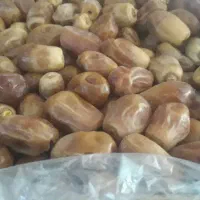 فروش خرمای زاهدی(قصب)