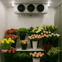 طراحی واجرای انواع سردخانه وکانکس باگارانتی یکساله|ماشینآلات صنعتی|تهران, امام حسین|دیوار