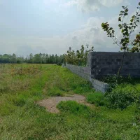 زمین 1450متری مناسب استخر و کلبه سوئیسی|فروش زمین و ملک کلنگی|خمام, |دیوار