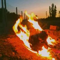 تولید پایه فنس، فنس کشی، تعمیرات کارهای باغ