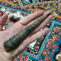 عرج ۲۰cm