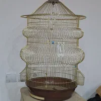 قفس پرنده