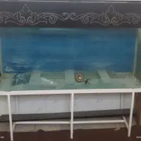 اکواریوم بزرگ