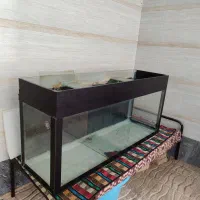 شیشه آکواریوم بزرگ