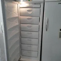 یخچال دو قلوی پارس