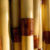 فروش ویژه نی حرفه ای|سازهای بادی|اصفهان, ملک‌شهر|دیوار