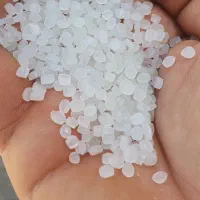 کارگر ساده فقط ایرانی