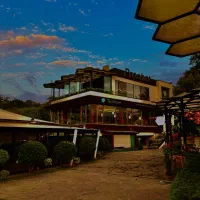 آشپز و کمک اشپز فرنگی حرفه ای