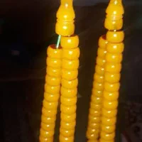 سندلوس بودار