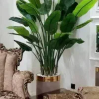 بانا درختچ ه|گل مصنوعی|تهران, مشیریه|دیوار