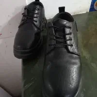 کفش لوفر چرم شیک و کاملا نو|کیف، کفش، کمربند|مرودشت, بیست متری بیمارستان|دیوار