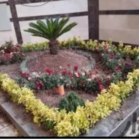 خدمات باغبانی و گل کاری در تمام نقاط تهران|خدمات باغبانی و درختکاری|تهران, سعادت‌آباد|دیوار