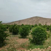 باغ500متری