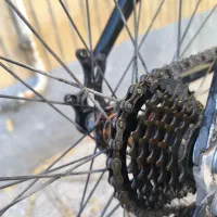 دوچرخه ویوا ۲۶|دوچرخه، اسکیت، اسکوتر|بیرجند, |دیوار