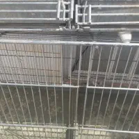 قفس هشت خان|لوازم جانبی حیوانات|کاشمر, |دیوار