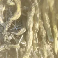 بذر باقله خودمونی