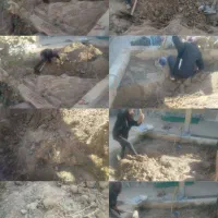 احیای باغچه و کشت سبزی جات