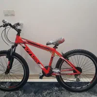 دوچرخه اصل ویوا