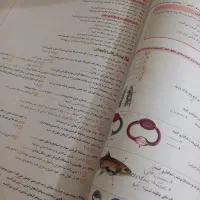ماجرای منو دسام زیست شناسی دهم|کتاب و مجله آموزشی|کلاله, |دیوار