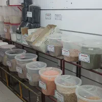 سطل برنج و حبوبات در دو سایز ۱۰ و ۲۵ کیلویی