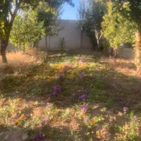 باغ-شهری-گلاب-دره