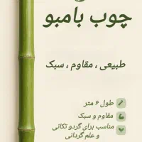 چوب بامبو 6 متری