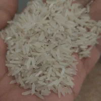 برنج فجر سوزنی ایرانی