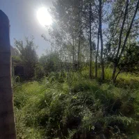 زمین ۴۰۰ متری سه نبش کوی شهید چمران(کسبخ)|فروش زمین و ملک کلنگی|رشت, کوی قدس|دیوار