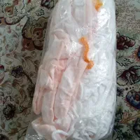 تور والیبال آکبند