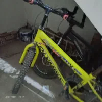 دوچرخه ۲۴|دوچرخه، اسکیت، اسکوتر|مشهد, علی آباد|دیوار