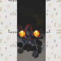 کالسکه دوقلویی مارک دلیجان