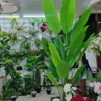 درخچه مصنوعی شکوفه و گرین وال