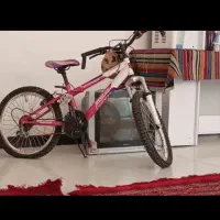 فروش دو چرخه دنده ای سایز ۲۰