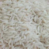 فروش برنج هاشمی ممتاز