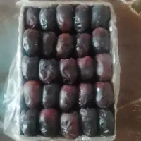 خرما|عمده‌فروشی|هیدوچ, |دیوار