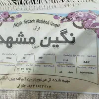 فرش نو|فرش|مشهد, شاهد (شهرک غرب)|دیوار